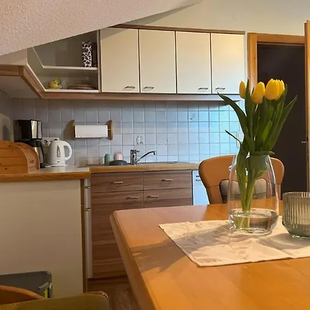 Seiringer Apartment Attersee