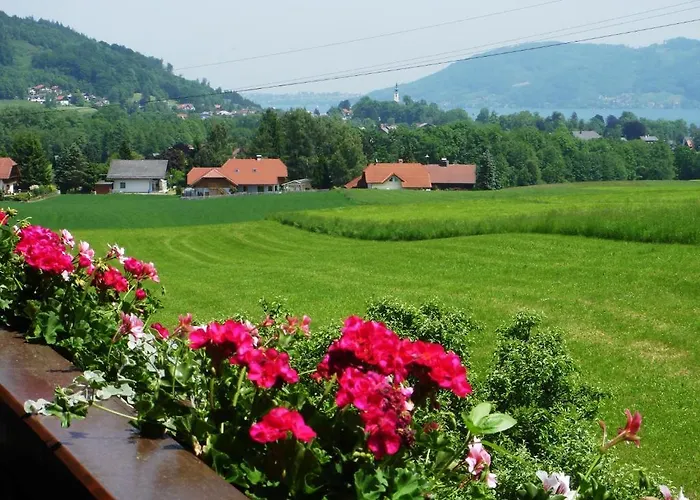 Apartment Seiringer Attersee