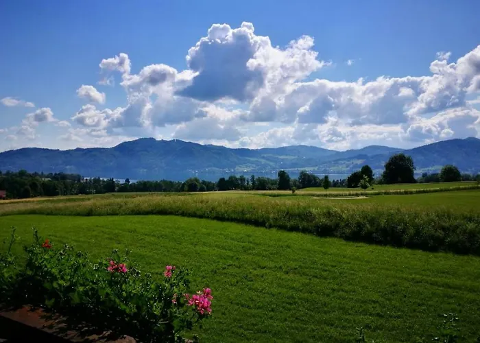 Seiringer Appartement