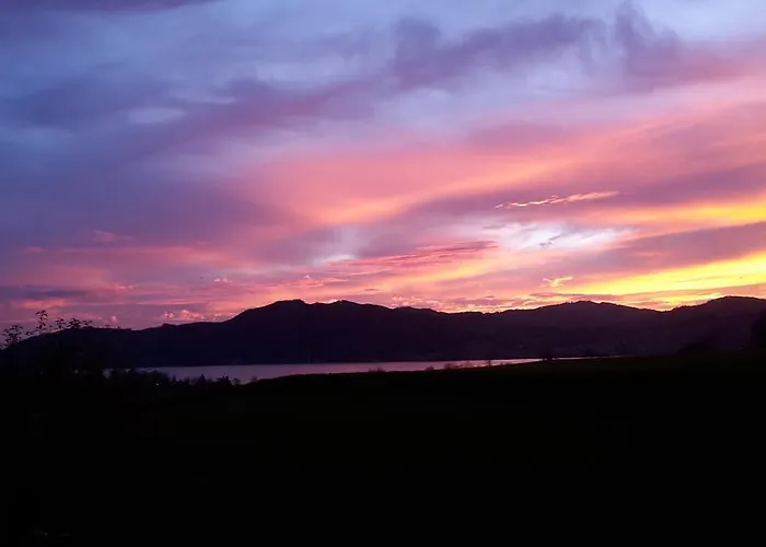 赛尔灵格度假屋酒店 公寓 *